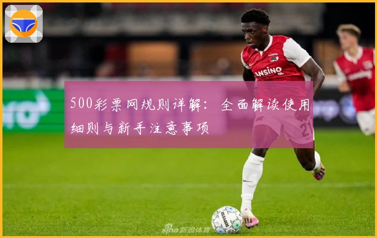 500彩票网规则详解：全面解读使用细则与新手注意事项