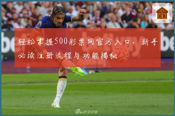 轻松掌握500彩票网官方入口,新手必读注册流程与功能揭秘