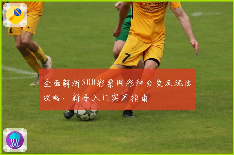 全面解析500彩票网彩种分类及玩法攻略，新手入门实用指南